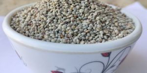 Raw Red Quinoa Seeds