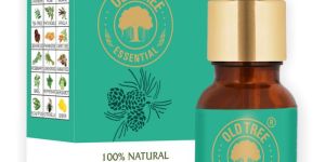 Pine Needle Essential Oil