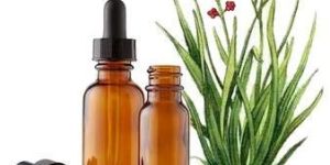 Palmarosa Essential Oil