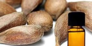 Sugandh Mantri Essential Oil