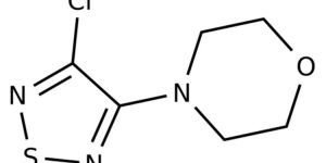 3-Chloro-4-Morpholino-1,2,5-Thiadiazole ( CAS No -30165-96-9)