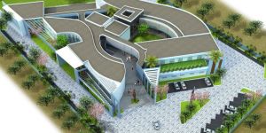 Institutional Designing Service