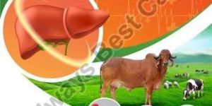 Netlivol-H Poultry Liver Tonic