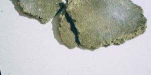 Mustard De Oiled Cake