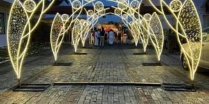 Multiple Design Iron Frame