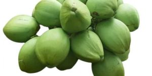 Fresh Tender Coconut