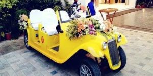 Golf Cart Rent Hire