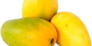 Fresh Mango