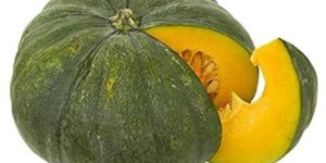 Fresh Pumpkin