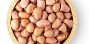 Peanut Seeds