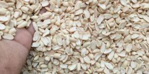 Wheat Bran
