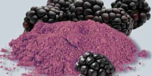 Spray Dried Blackberry Powder