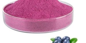 Spray Dried Blueberry Powder
