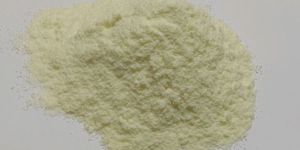Spray Dried Coconut Water Powder