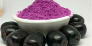 Spray Dried Jamun Powder