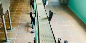 Canning Conveyor