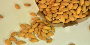 Almond Kashmiri Kernels