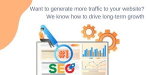 Seo Consultation Service
