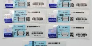 Windows 10 Pro OEM License Key