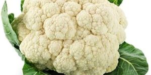 Fresh Cauliflower