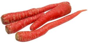 Fresh Red Carrot