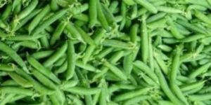 Green Peas