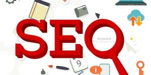 Search Engine Optimization Services