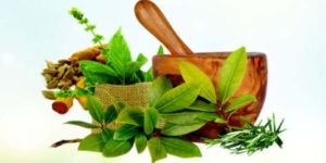 Admission Counseling