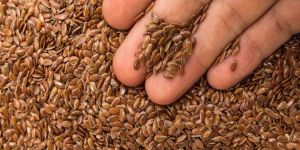 Flax Seed
