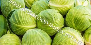 Green Cabbage