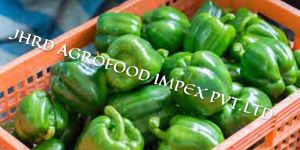 Green Pepper