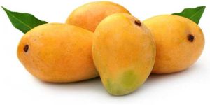 Banganapalli Mango