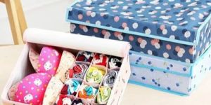 Standard Storage Organizer