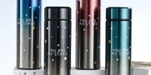 Temperature Display Water Bottle