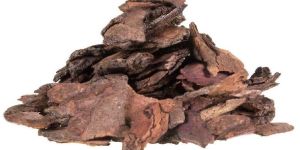 Neem Bark