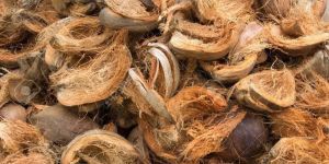 Coconut Husk