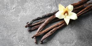 VANILLA OIL TRANSPORENT