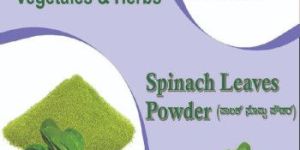 Spinach Leaves Powder