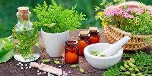 Naturopathy Services