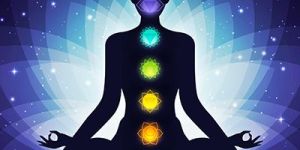 Prana Vidya Yoga Training Course