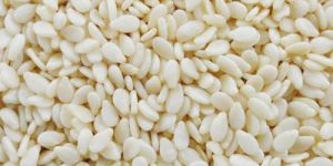 White Sesame Seeds
