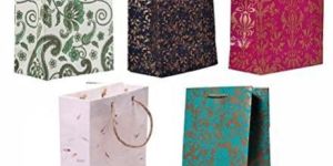 Gift Paper Bags
