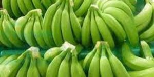 Fresh Green Banana