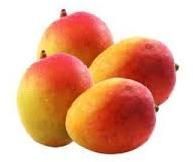 Fresh Mango