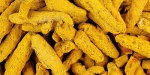 Turmeric Finger