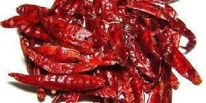 Syngenta Dried Red Chilli