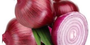 Fresh Red Onion