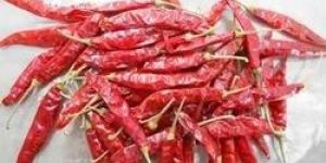 Dry Red Chilli