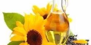 Sunflower Oil