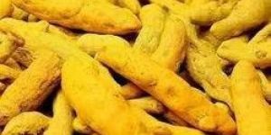 Turmeric Finger